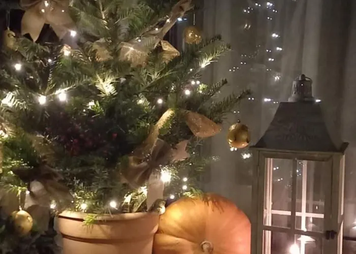 בית הארחה Cote Cosy 3*