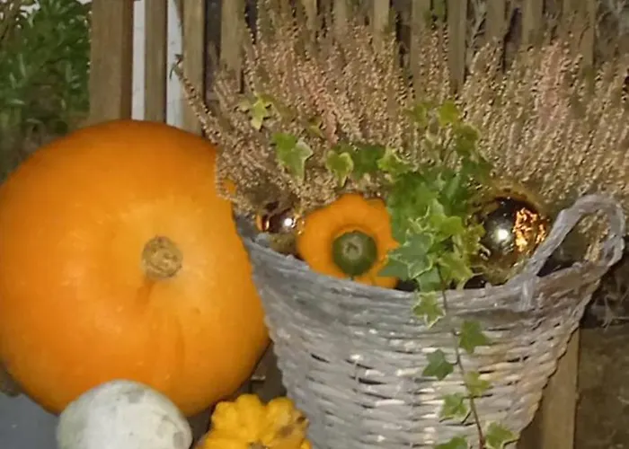 Maison d'hôtes Côté Cosy 3*