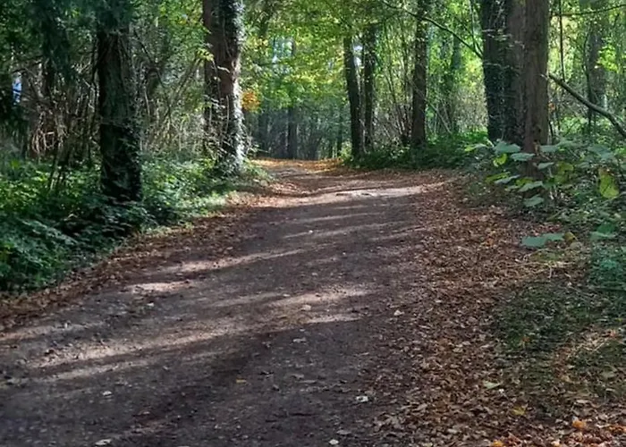 Côté Cosy Affittacamere Marche-en-Famenne